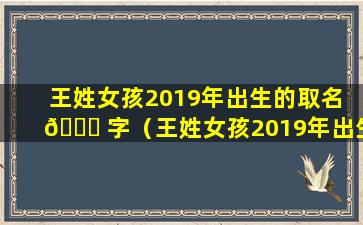 王姓女孩2019年出生的取名 🍁 字（王姓女孩2019年出生的取 🌺 名字有哪些）